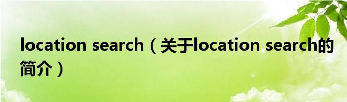 location search（關(guān)于location search的簡(jiǎn)介）