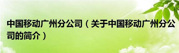 中國移動(dòng)廣州分公司（關(guān)于中國移動(dòng)廣州分公司的簡(jiǎn)介）