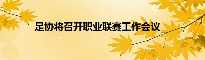 足協(xié)將召開職業(yè)聯(lián)賽工作會議