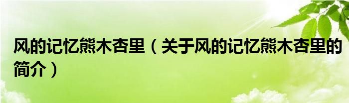 風(fēng)的記憶熊木杏里（關(guān)于風(fēng)的記憶熊木杏里的簡介）