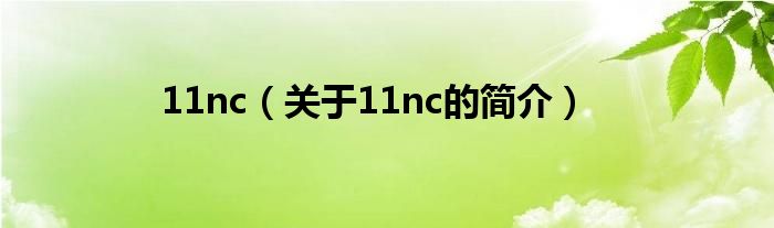 11nc（關(guān)于11nc的簡(jiǎn)介）