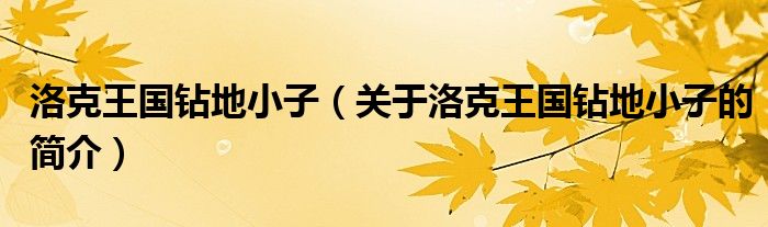 洛克王國(guó)鉆地小子（關(guān)于洛克王國(guó)鉆地小子的簡(jiǎn)介）