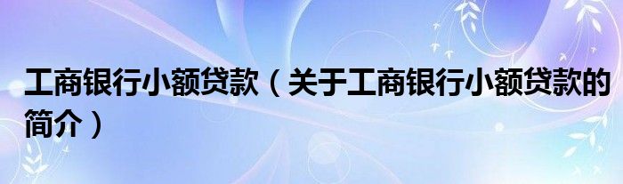 工商銀行小額貸款（關于工商銀行小額貸款的簡介）