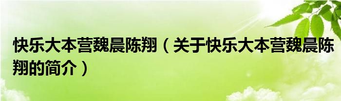 快樂大本營魏晨陳翔（關(guān)于快樂大本營魏晨陳翔的簡介）