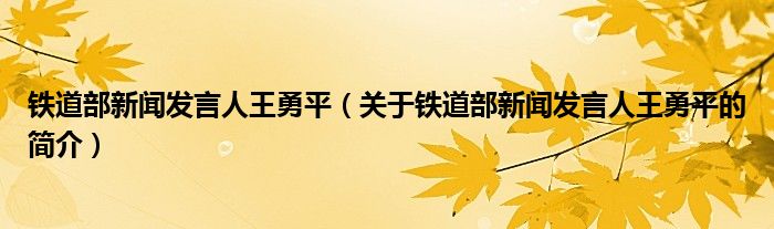 鐵道部新聞發(fā)言人王勇平（關(guān)于鐵道部新聞發(fā)言人王勇平的簡(jiǎn)介）