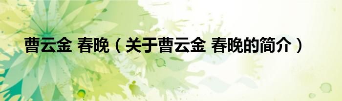 曹云金 春晚（關(guān)于曹云金 春晚的簡(jiǎn)介）