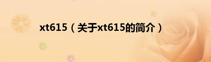 xt615（關(guān)于xt615的簡(jiǎn)介）