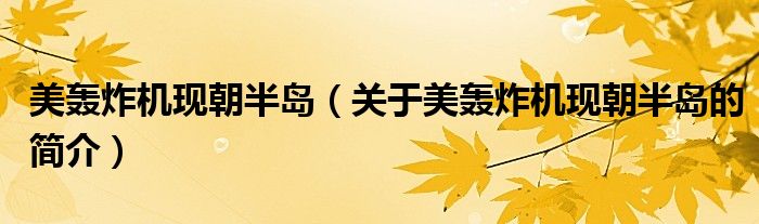 美轟炸機現(xiàn)朝半島（關(guān)于美轟炸機現(xiàn)朝半島的簡介）