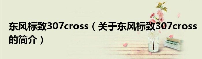 東風標致307cross（關于東風標致307cross的簡介）