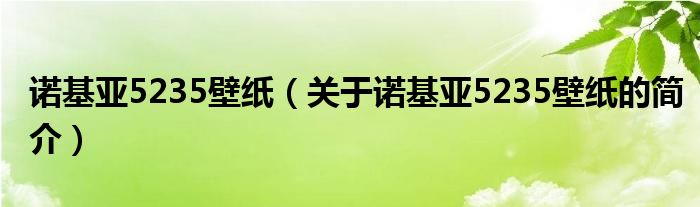 諾基亞5235壁紙（關(guān)于諾基亞5235壁紙的簡介）