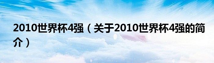 2010世界杯4強（關于2010世界杯4強的簡介）