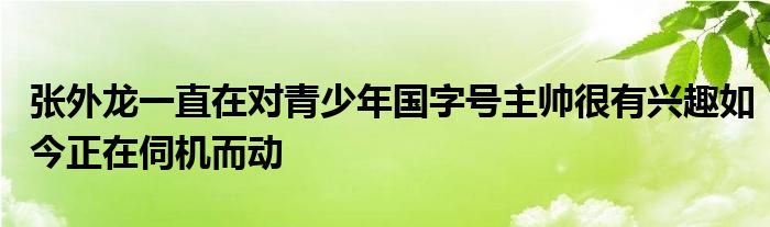 張外龍一直在對青少年國字號主帥很有興趣如今正在伺機(jī)而動