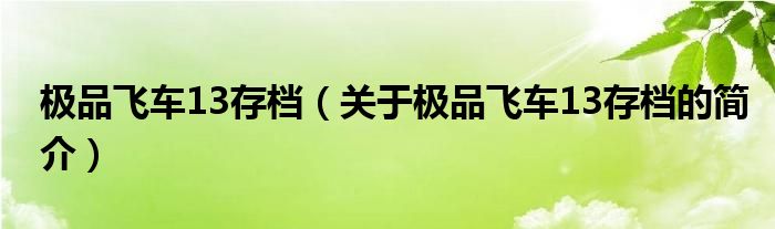 極品飛車13存檔（關(guān)于極品飛車13存檔的簡介）