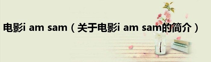 電影i am sam（關于電影i am sam的簡介）