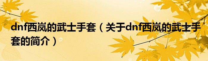 dnf西嵐的武士手套（關(guān)于dnf西嵐的武士手套的簡介）