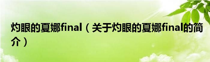 灼眼的夏娜final（關于灼眼的夏娜final的簡介）