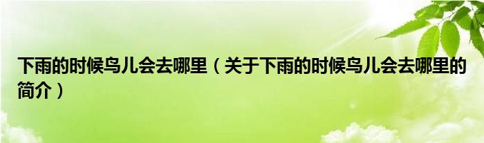 下雨的時候鳥兒會去哪里（關(guān)于下雨的時候鳥兒會去哪里的簡介）