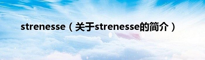 strenesse（關(guān)于strenesse的簡介）