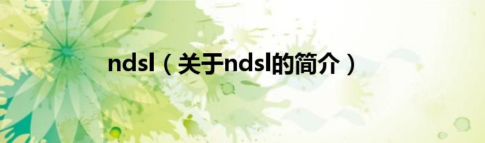 ndsl（關于ndsl的簡介）