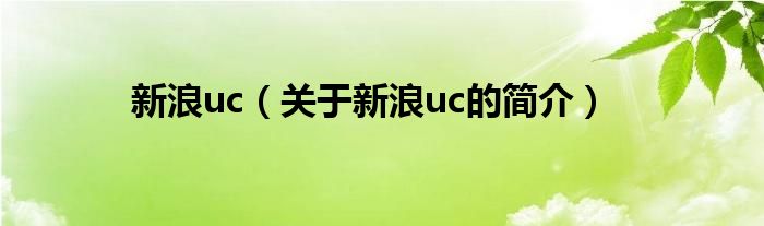 新浪uc（關(guān)于新浪uc的簡介）