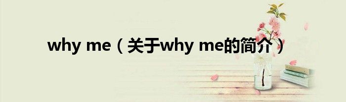 why me（關(guān)于why me的簡介）