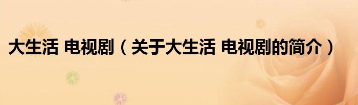 大生活 電視?。P(guān)于大生活 電視劇的簡(jiǎn)介）