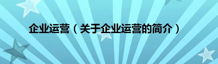 企業(yè)運(yùn)營（關(guān)于企業(yè)運(yùn)營的簡介）