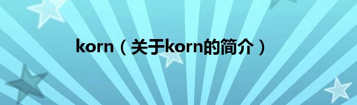 korn（關(guān)于korn的簡介）