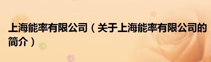 上海能率有限公司（關(guān)于上海能率有限公司的簡(jiǎn)介）