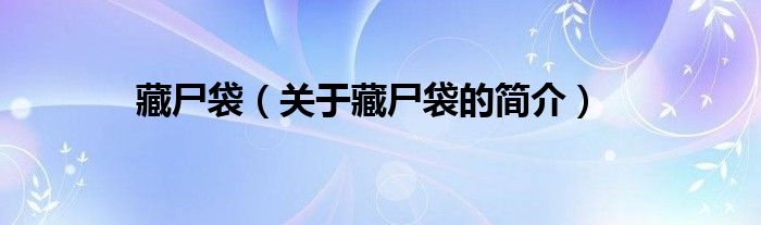 藏尸袋（關(guān)于藏尸袋的簡(jiǎn)介）