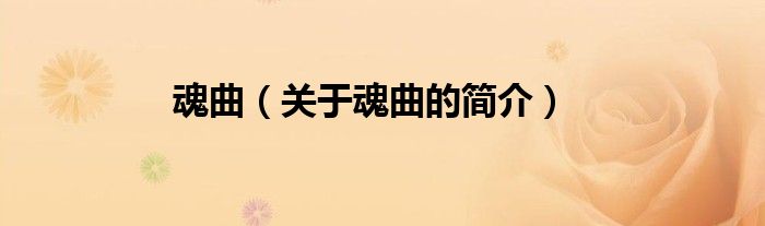 魂曲（關(guān)于魂曲的簡(jiǎn)介）