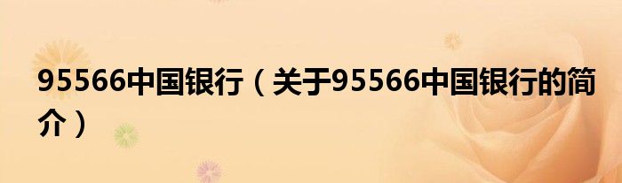 95566中國銀行（關(guān)于95566中國銀行的簡介）