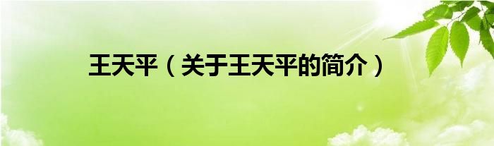 王天平（關(guān)于王天平的簡(jiǎn)介）