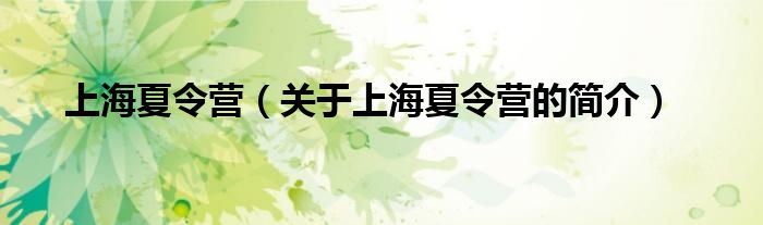 上海夏令營（關于上海夏令營的簡介）