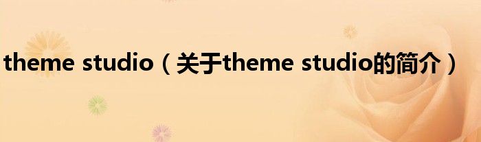 theme studio（關(guān)于theme studio的簡介）