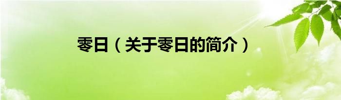 零日（關(guān)于零日的簡(jiǎn)介）