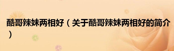 酷哥辣妹兩相好（關(guān)于酷哥辣妹兩相好的簡(jiǎn)介）