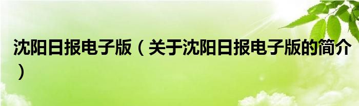 沈陽日?qǐng)?bào)電子版（關(guān)于沈陽日?qǐng)?bào)電子版的簡介）