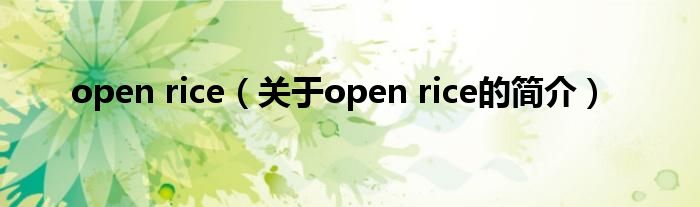 open rice（關(guān)于open rice的簡介）