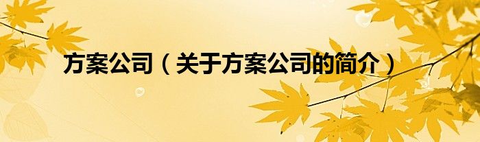 方案公司（關(guān)于方案公司的簡介）