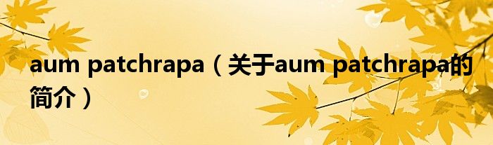 aum patchrapa（關(guān)于aum patchrapa的簡(jiǎn)介）