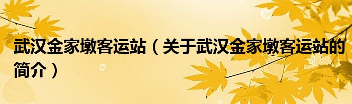 武漢金家墩客運(yùn)站（關(guān)于武漢金家墩客運(yùn)站的簡(jiǎn)介）