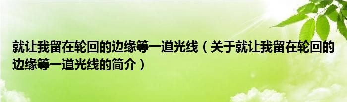 就讓我留在輪回的邊緣等一道光線（關(guān)于就讓我留在輪回的邊緣等一道光線的簡介）