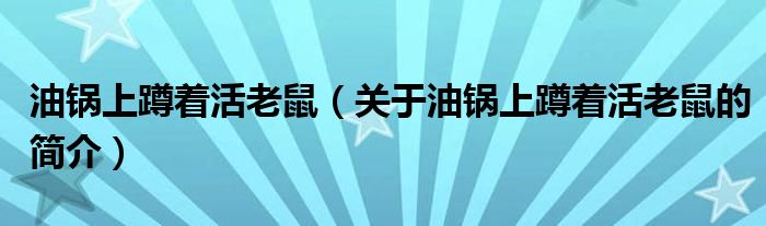 油鍋上蹲著活老鼠（關(guān)于油鍋上蹲著活老鼠的簡(jiǎn)介）