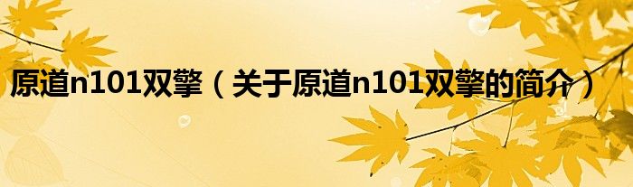 原道n101雙擎（關(guān)于原道n101雙擎的簡(jiǎn)介）