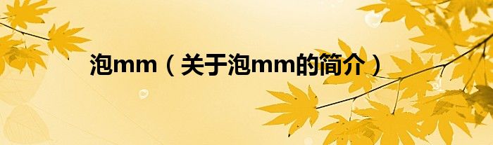 泡mm（關(guān)于泡mm的簡(jiǎn)介）