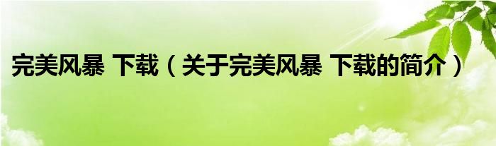 完美風(fēng)暴 下載（關(guān)于完美風(fēng)暴 下載的簡(jiǎn)介）