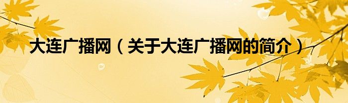 大連廣播網(wǎng)（關(guān)于大連廣播網(wǎng)的簡介）