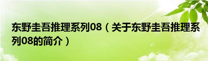 東野圭吾推理系列08（關于東野圭吾推理系列08的簡介）