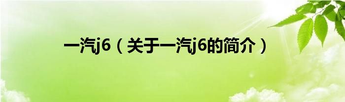 一汽j6（關(guān)于一汽j6的簡介）